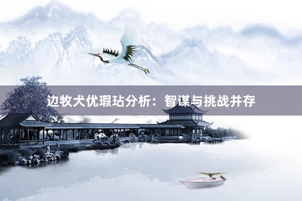 边牧犬优瑕玷分析：智谋与挑战并存